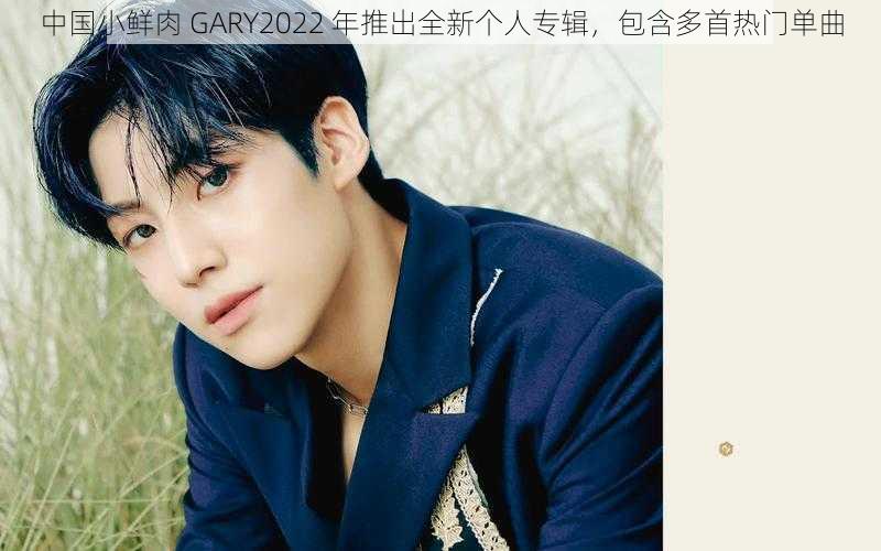 中国小鲜肉 GARY2022 年推出全新个人专辑，包含多首热门单曲