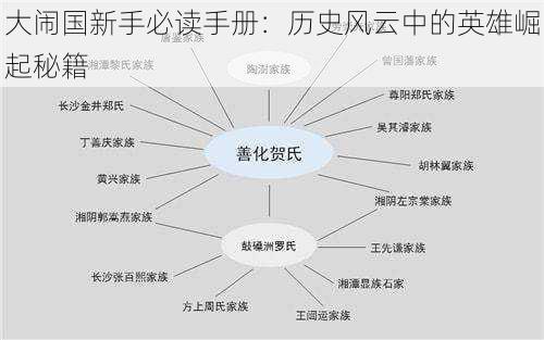 大闹国新手必读手册：历史风云中的英雄崛起秘籍