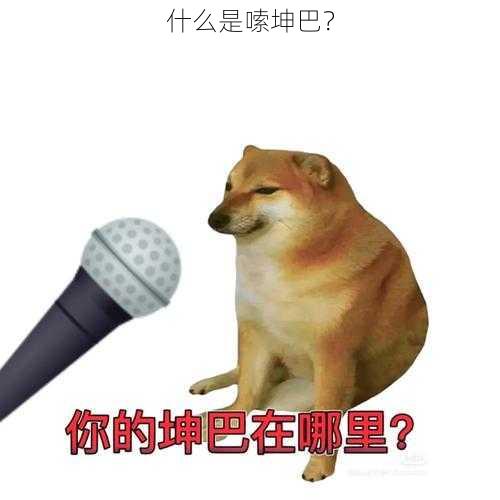 什么是嗦坤巴？