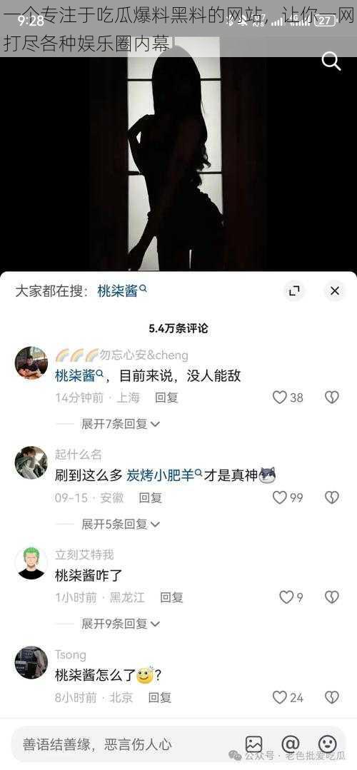 一个专注于吃瓜爆料黑料的网站，让你一网打尽各种娱乐圈内幕