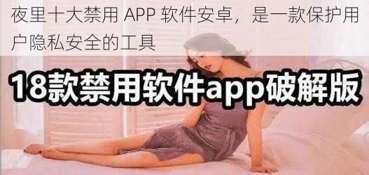 夜里十大禁用 APP 软件安卓，是一款保护用户隐私安全的工具