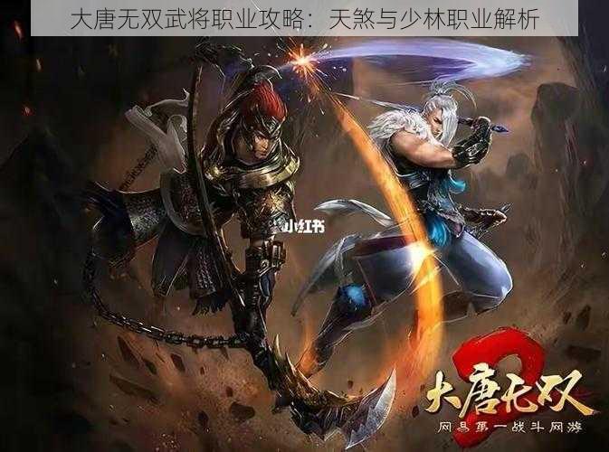 大唐无双武将职业攻略：天煞与少林职业解析