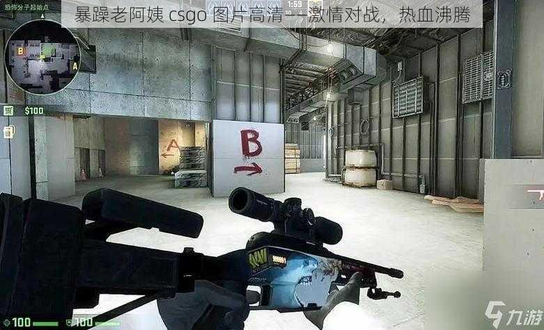 暴躁老阿姨 csgo 图片高清——激情对战，热血沸腾