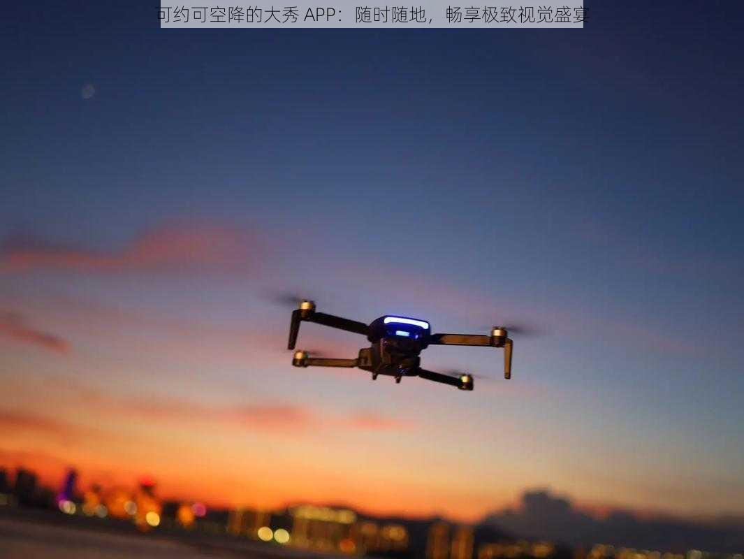 可约可空降的大秀 APP：随时随地，畅享极致视觉盛宴