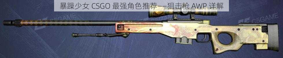 暴躁少女 CSGO 最强角色推荐——狙击枪 AWP 详解