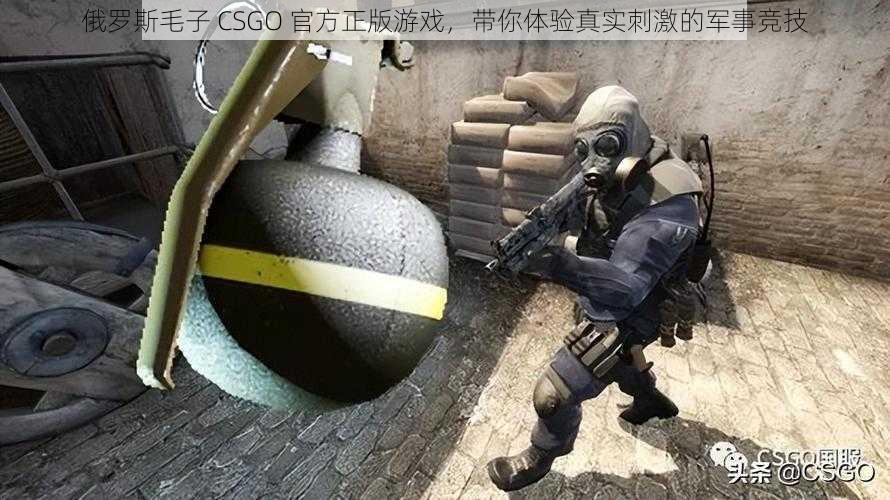 俄罗斯毛子 CSGO 官方正版游戏，带你体验真实刺激的军事竞技