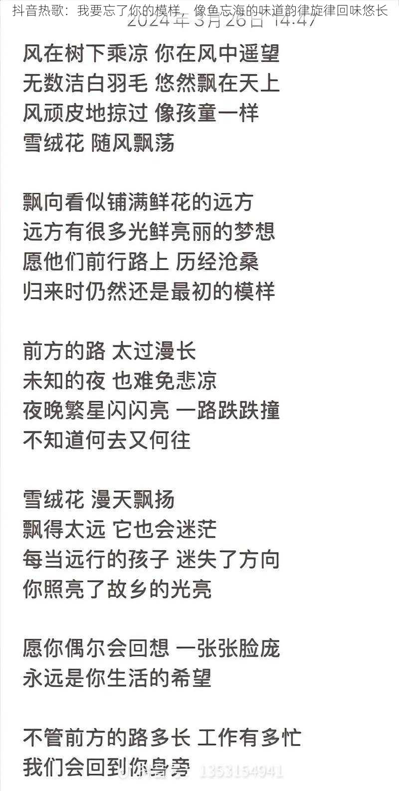 抖音热歌：我要忘了你的模样，像鱼忘海的味道韵律旋律回味悠长