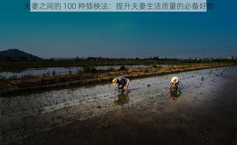 夫妻之间的 100 种插秧法：提升夫妻生活质量的必备好物