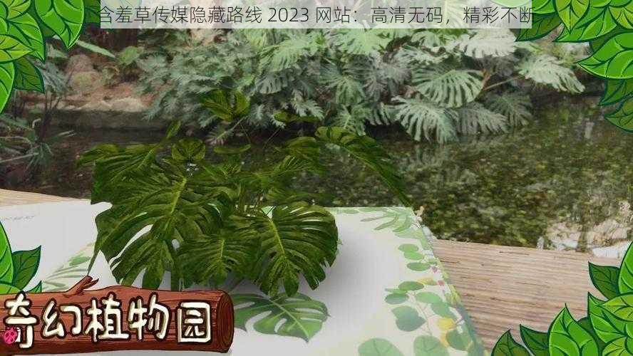 含羞草传媒隐藏路线 2023 网站：高清无码，精彩不断