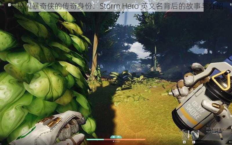 揭秘风暴奇侠的传奇身份：Storm Hero 英文名背后的故事与介绍