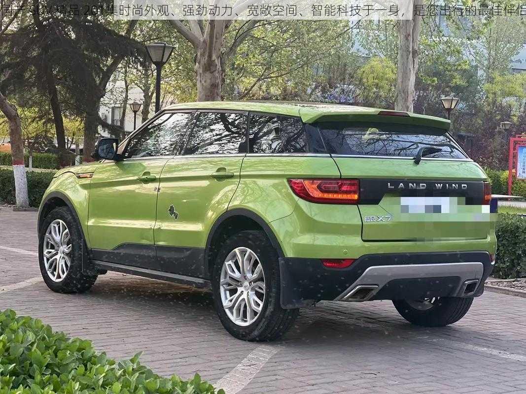 国产 SUV 精品 201集时尚外观、强劲动力、宽敞空间、智能科技于一身，是您出行的最佳伴侣