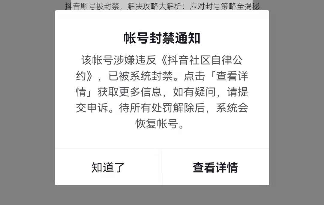 抖音账号被封禁，解决攻略大解析：应对封号策略全揭秘