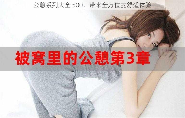 公憩系列大全 500，带来全方位的舒适体验