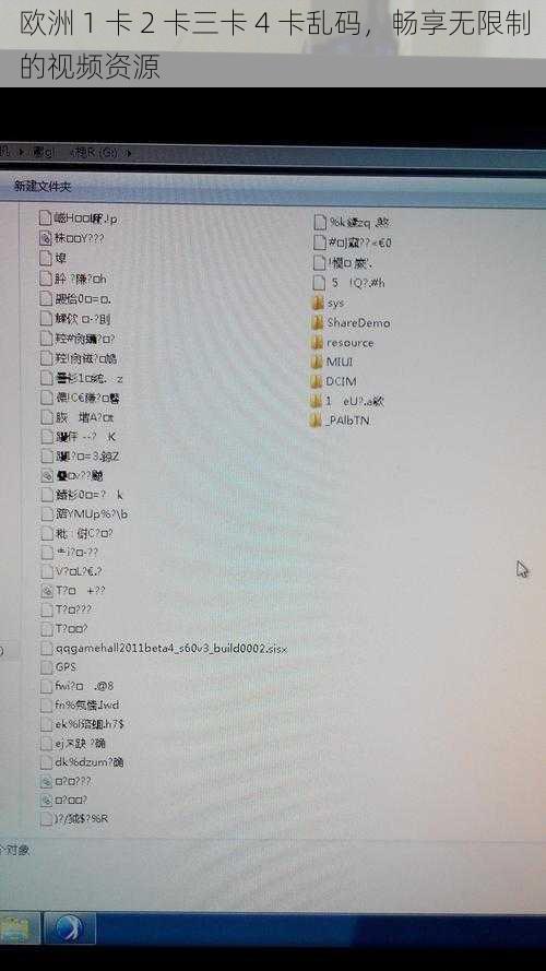 欧洲 1 卡 2 卡三卡 4 卡乱码，畅享无限制的视频资源