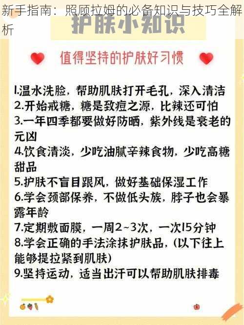 新手指南：照顾拉姆的必备知识与技巧全解析