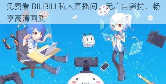 免费看 BILIBILI 私人直播间，无广告骚扰，畅享高清画质