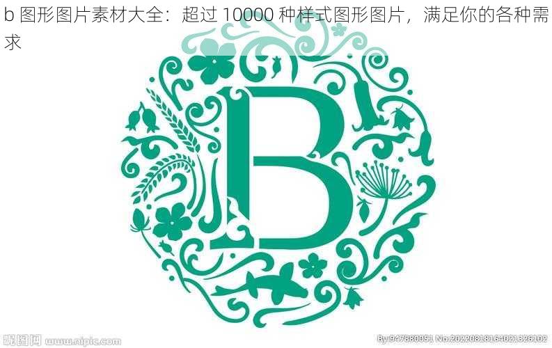 b 图形图片素材大全：超过 10000 种样式图形图片，满足你的各种需求