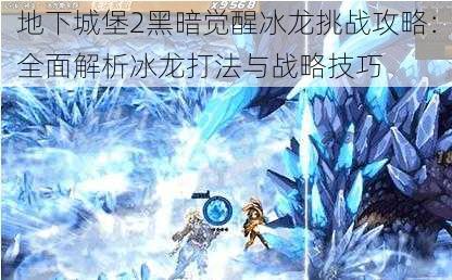 地下城堡2黑暗觉醒冰龙挑战攻略：全面解析冰龙打法与战略技巧