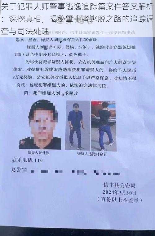 关于犯罪大师肇事逃逸追踪篇案件答案解析：深挖真相，揭秘肇事者逃脱之路的追踪调查与司法处理