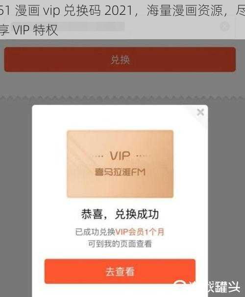 51 漫画 vip 兑换码 2021，海量漫画资源，尽享 VIP 特权