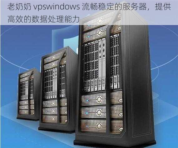 老奶奶 vpswindows 流畅稳定的服务器，提供高效的数据处理能力