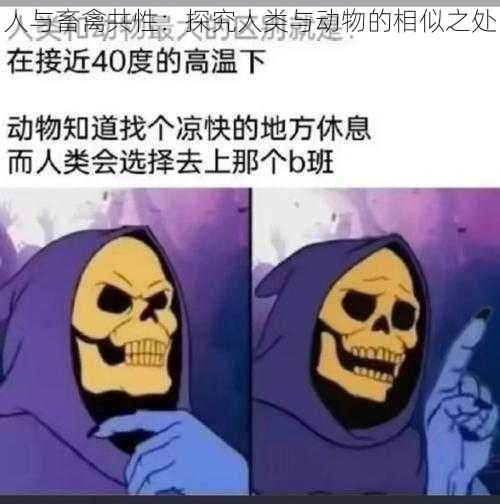 人与畜禽共性：探究人类与动物的相似之处