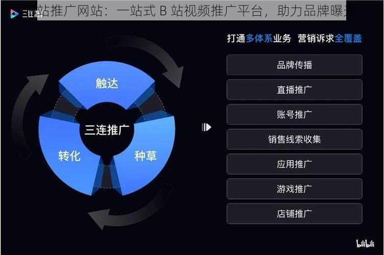 B站推广网站：一站式 B 站视频推广平台，助力品牌曝光