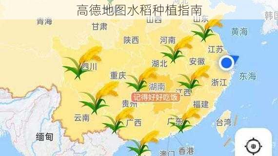 高德地图水稻种植指南