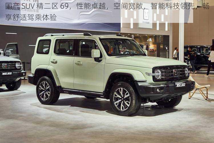 国产 SUV 精二区 69，性能卓越，空间宽敞，智能科技领先，畅享舒适驾乘体验