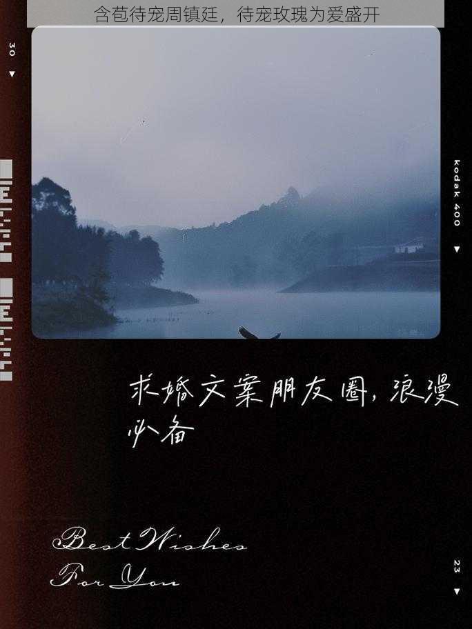 含苞待宠周镇廷，待宠玫瑰为爱盛开