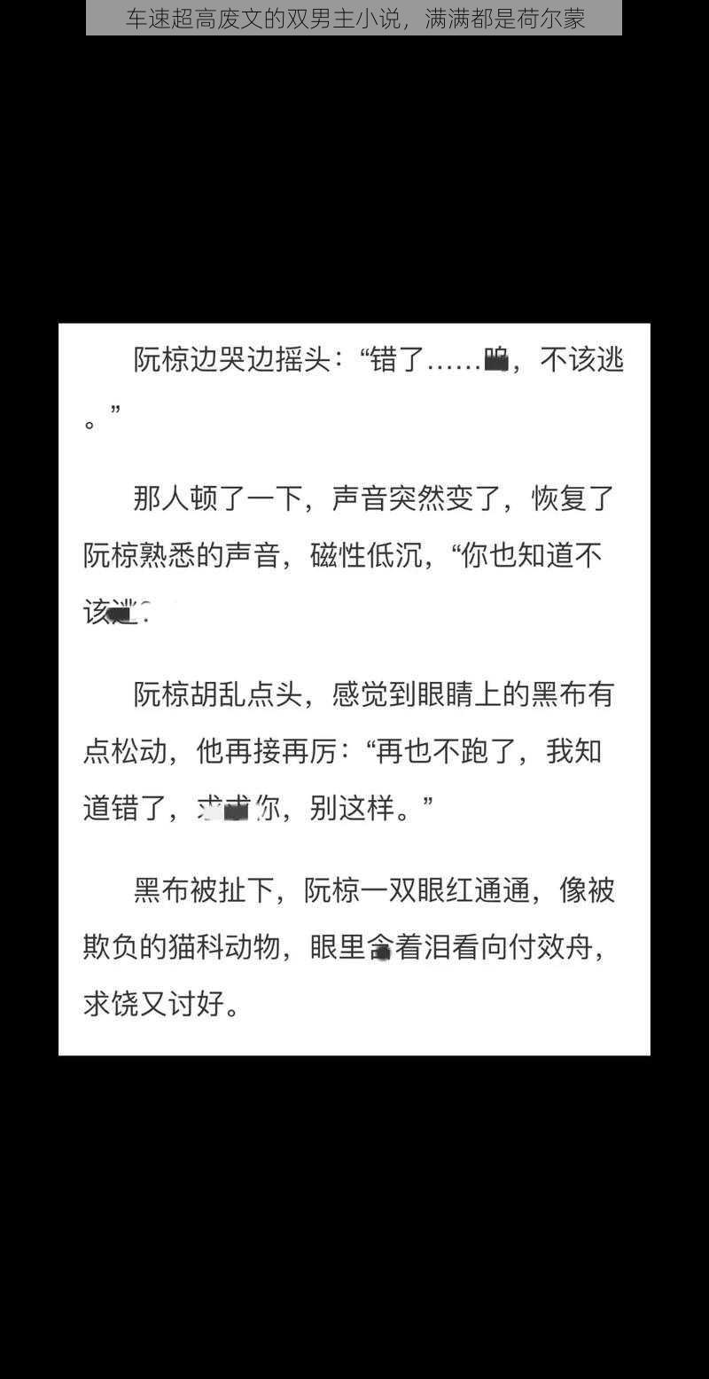 车速超高废文的双男主小说，满满都是荷尔蒙