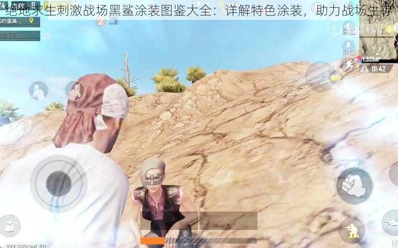 绝地求生刺激战场黑鲨涂装图鉴大全：详解特色涂装，助力战场生存