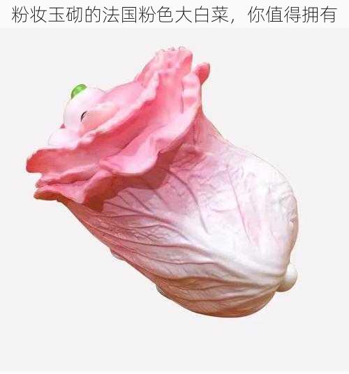 粉妆玉砌的法国粉色大白菜，你值得拥有