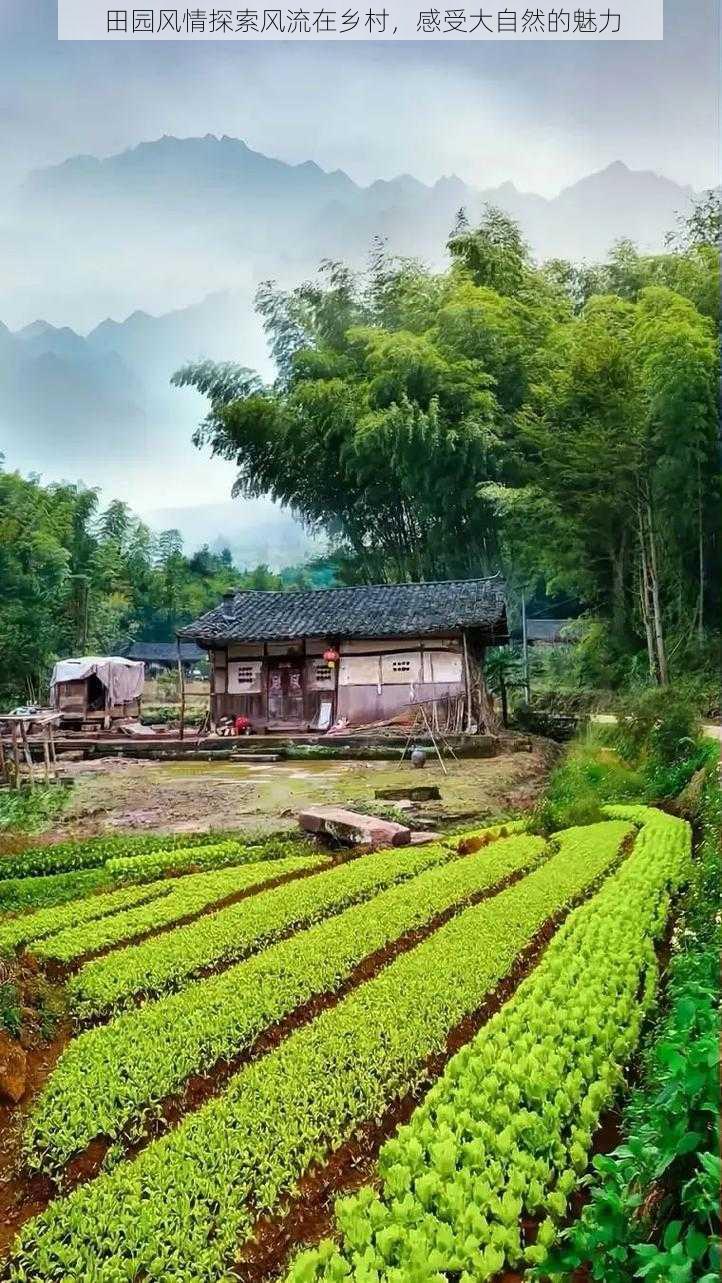 田园风情探索风流在乡村，感受大自然的魅力