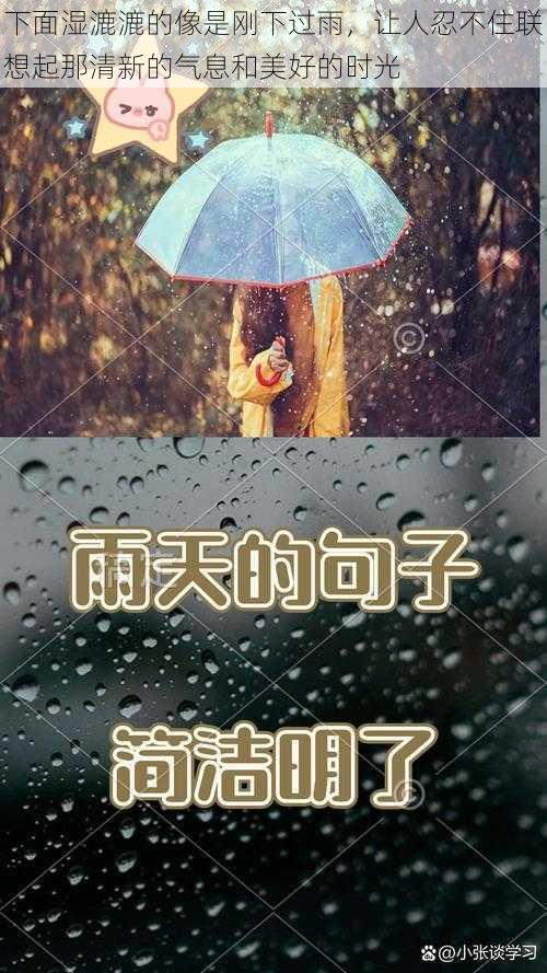 下面湿漉漉的像是刚下过雨，让人忍不住联想起那清新的气息和美好的时光