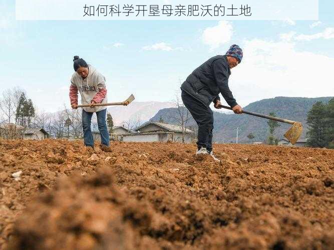 如何科学开垦母亲肥沃的土地