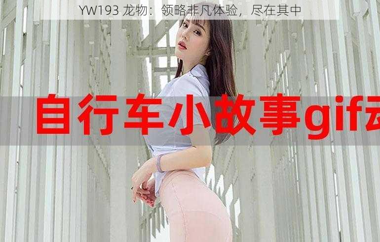 YW193 龙物：领略非凡体验，尽在其中