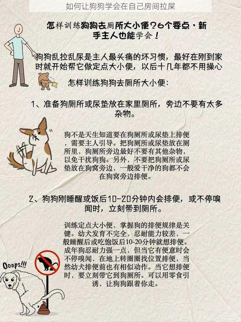 如何让狗狗学会在自己房间拉屎