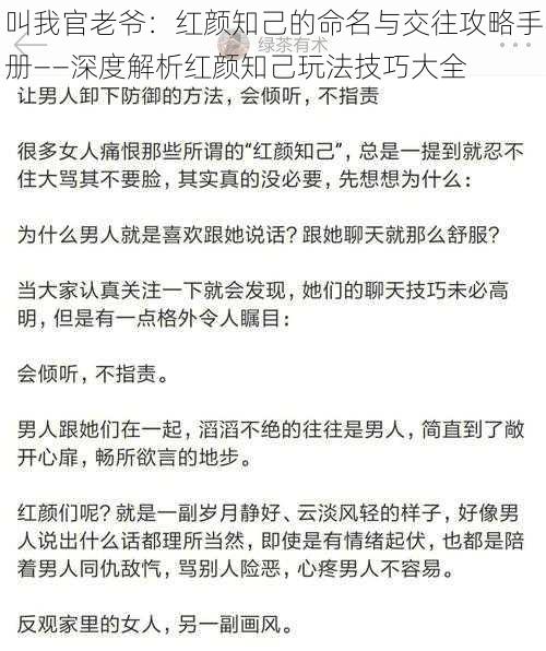 叫我官老爷：红颜知己的命名与交往攻略手册——深度解析红颜知己玩法技巧大全