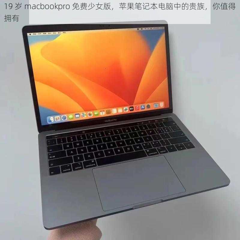 19 岁 macbookpro 免费少女版，苹果笔记本电脑中的贵族，你值得拥有