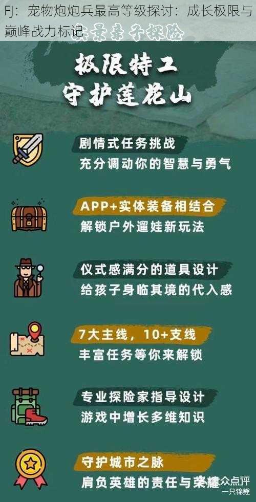 FJ：宠物炮炮兵最高等级探讨：成长极限与巅峰战力标记