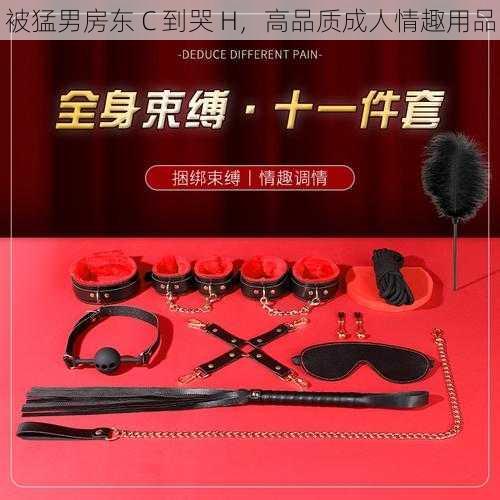 被猛男房东 C 到哭 H，高品质成人情趣用品