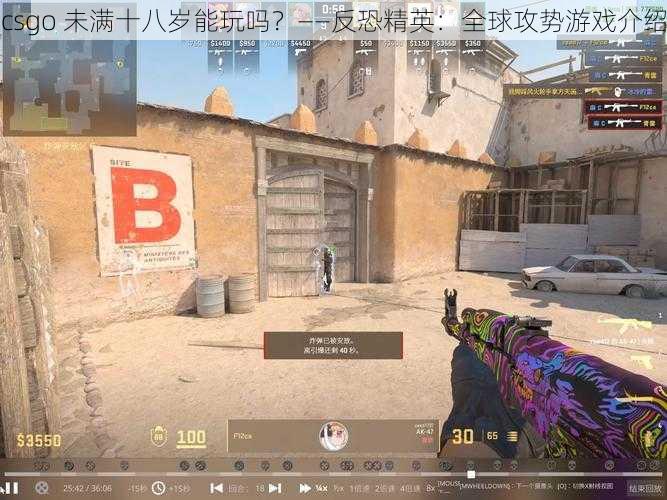 csgo 未满十八岁能玩吗？——反恐精英：全球攻势游戏介绍