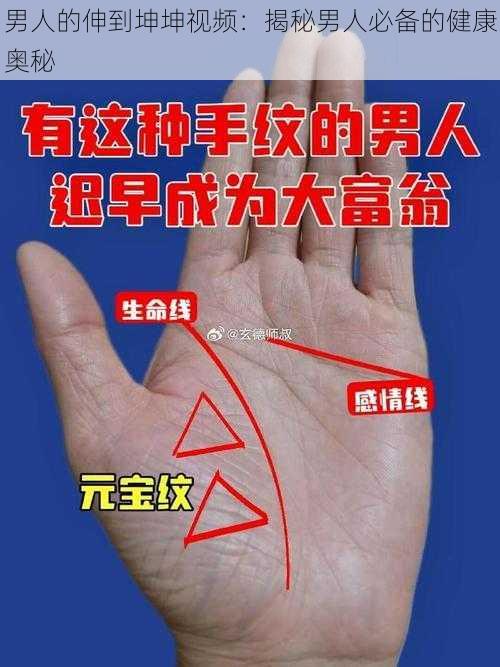 男人的伸到坤坤视频：揭秘男人必备的健康奥秘