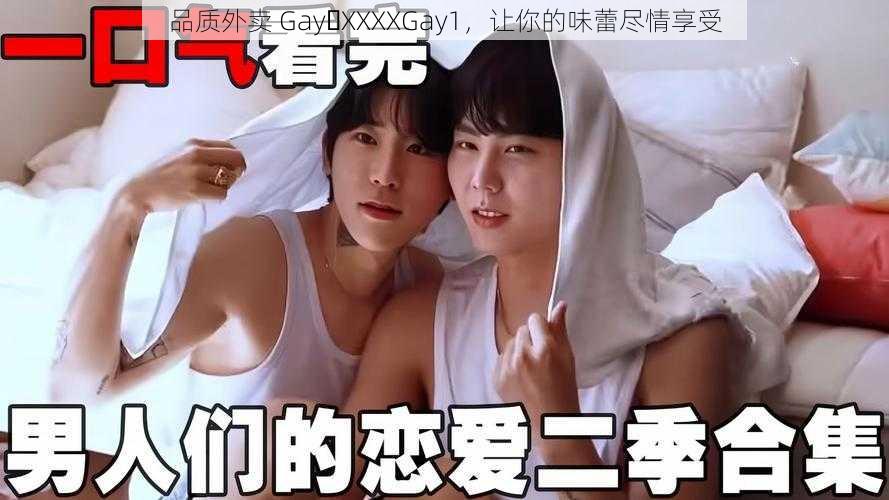 品质外卖 Gay XXXXGay1，让你的味蕾尽情享受