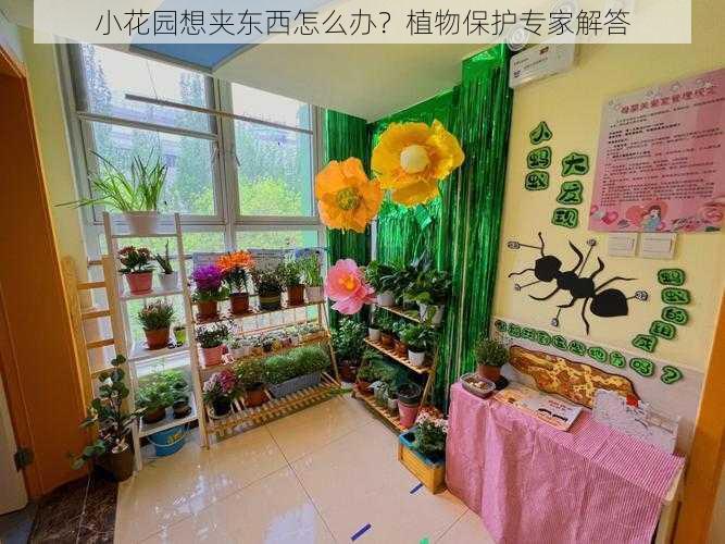 小花园想夹东西怎么办？植物保护专家解答