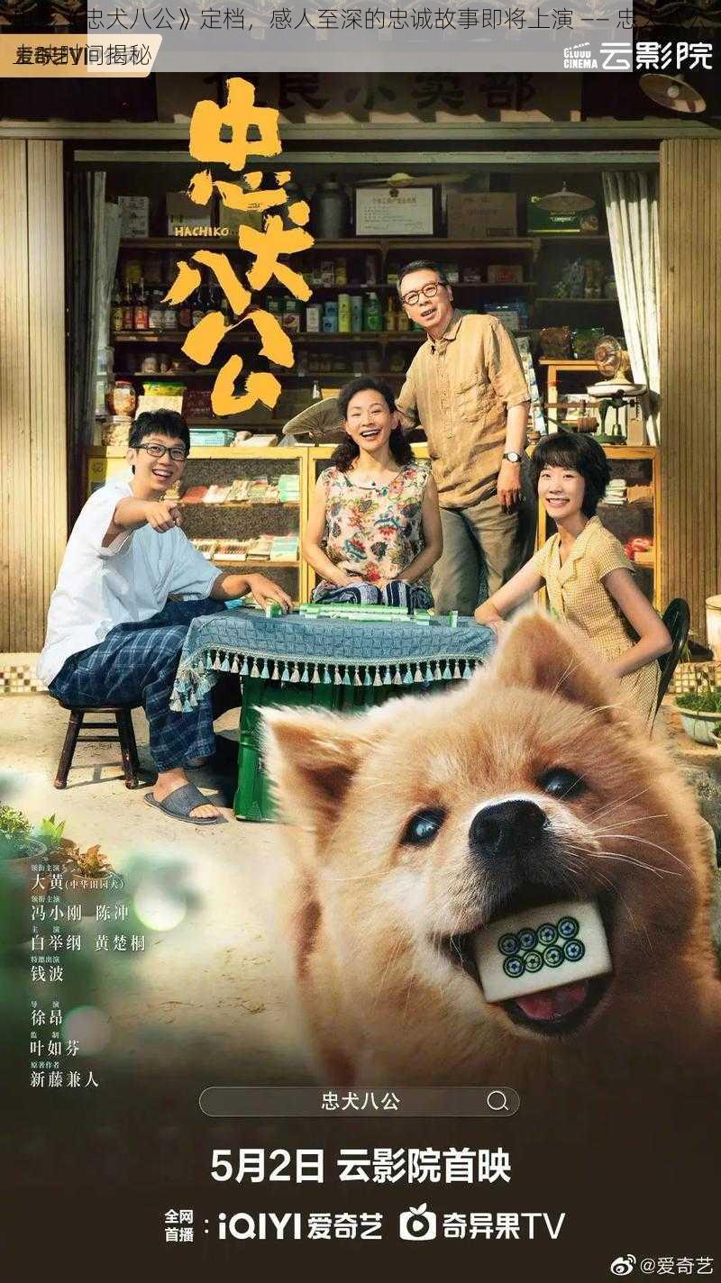 电影《忠犬八公》定档，感人至深的忠诚故事即将上演 —— 忠犬八公上映时间揭秘