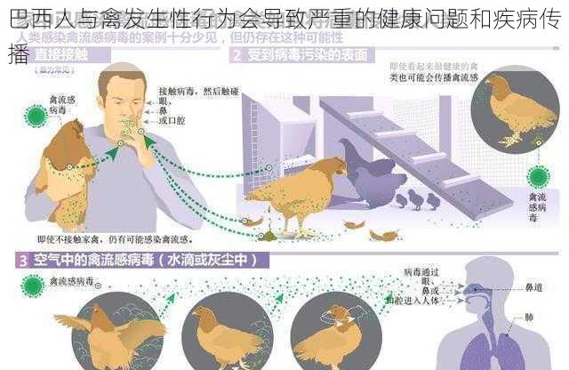 巴西人与禽发生性行为会导致严重的健康问题和疾病传播