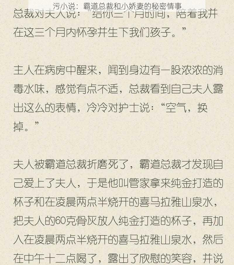 污小说：霸道总裁和小娇妻的秘密情事