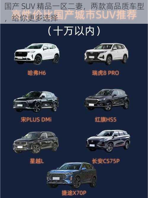 国产 SUV 精品一区二妻，两款高品质车型，给你更多选择